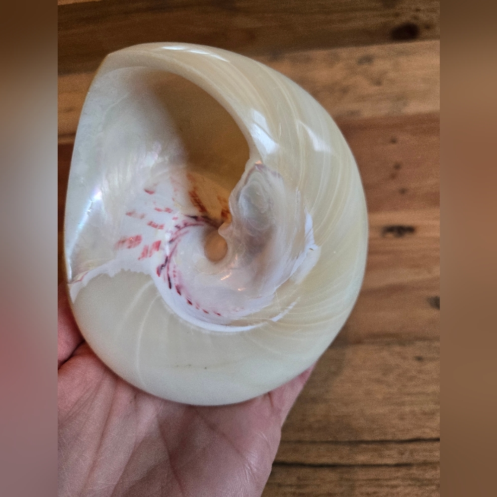 MERMAID LOVE BUNDLE - MERMAID METAL HOOK, MERMAID DECOR SIGN, & PEARL SHELL - Picture 7 of 8